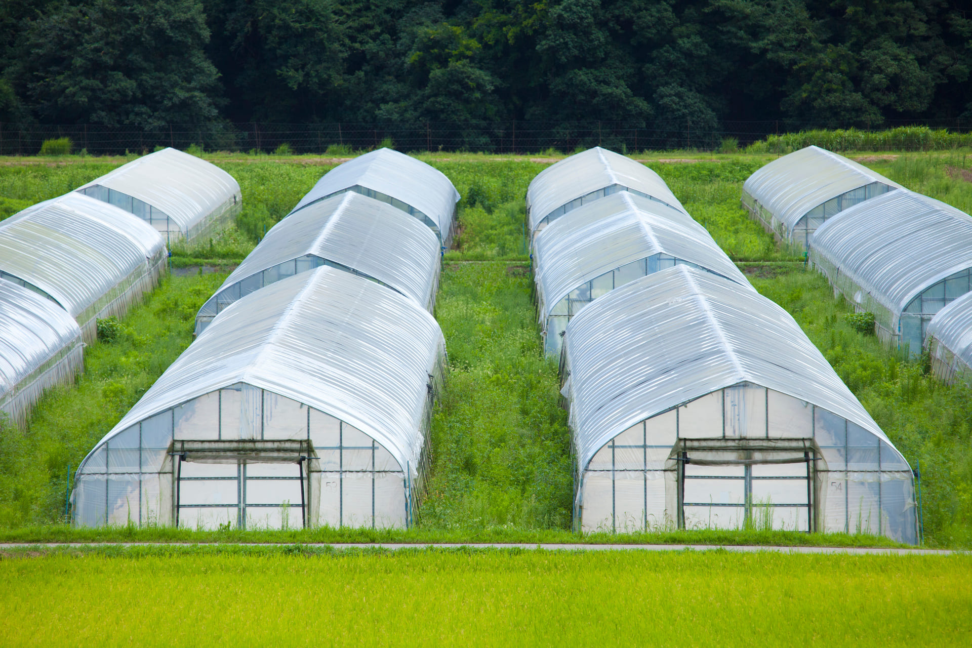 新設の施工 | 群馬のビニールハウス工事なら株式会社T-プラス